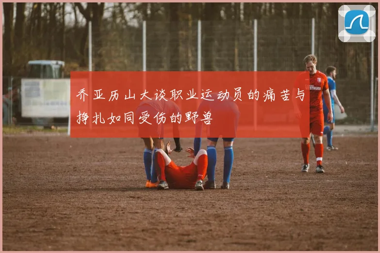 乔亚历山大谈职业运动员的痛苦与挣扎如同受伤的野兽