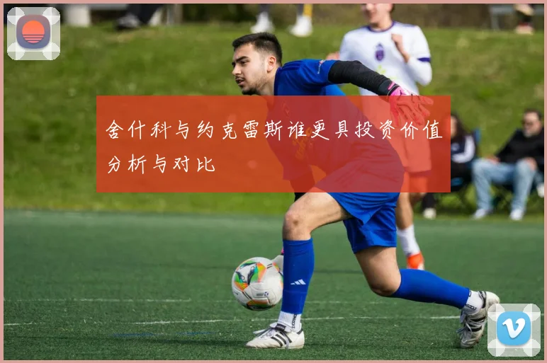 舍什科与约克雷斯谁更具投资价值分析与对比