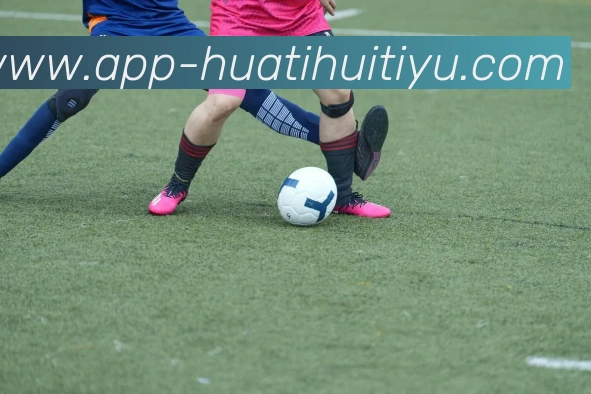 华体会体育平台生态图